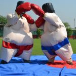 sumo_suit-300×300
