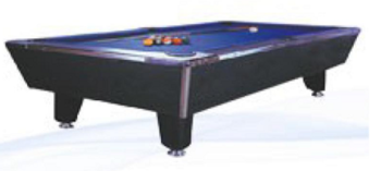 Champion Pooltable