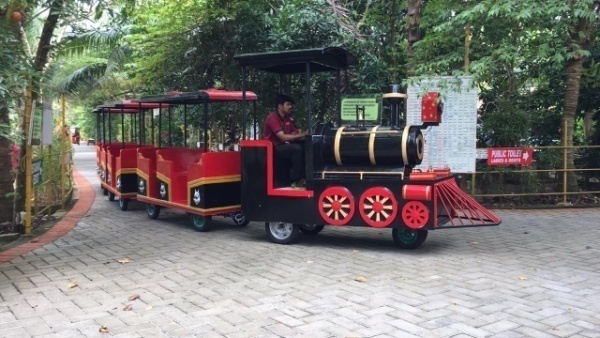 Locomotive Train Trackless Train
