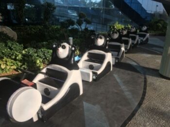 Panda Train Trackless Train