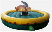 Bull RideWith Bouncy