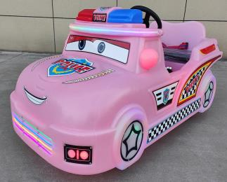 The Police Car