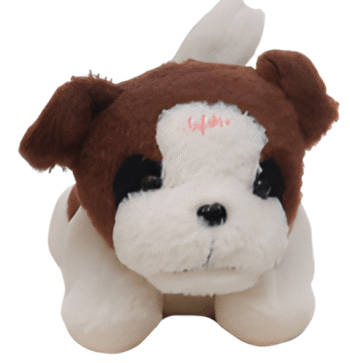 Lily Dog