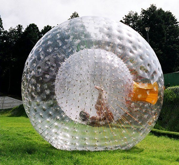 land-zorb-2